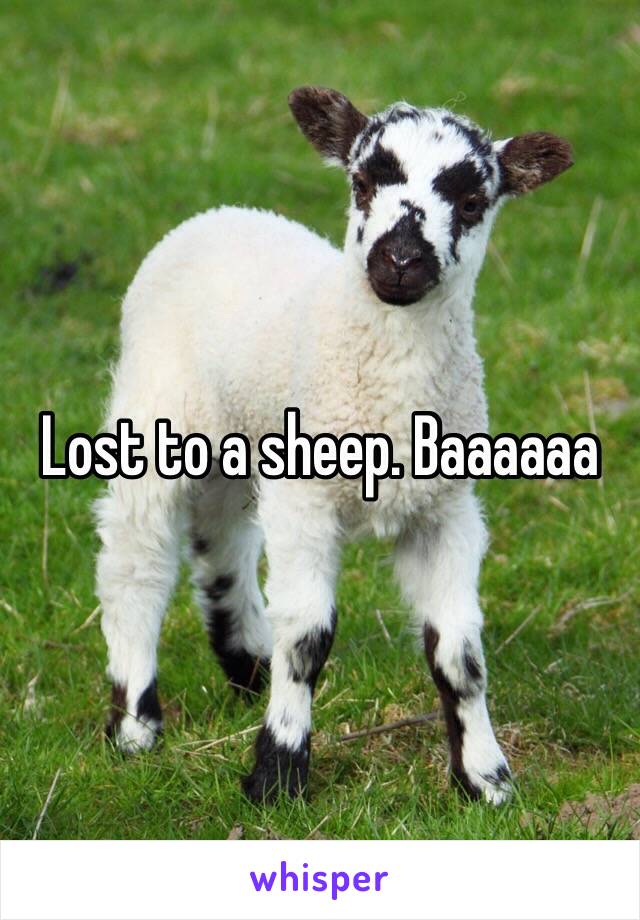 Lost to a sheep. Baaaaaa