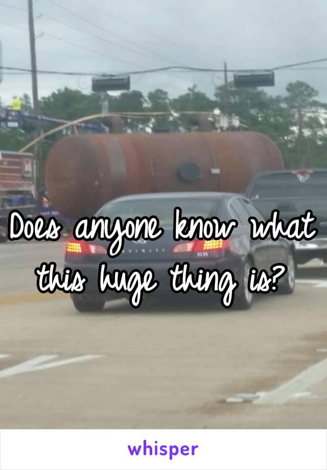 Does anyone know what this huge thing is? 