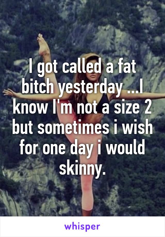 I got called a fat bitch yesterday ...I know I'm not a size 2 but sometimes i wish for one day i would skinny.