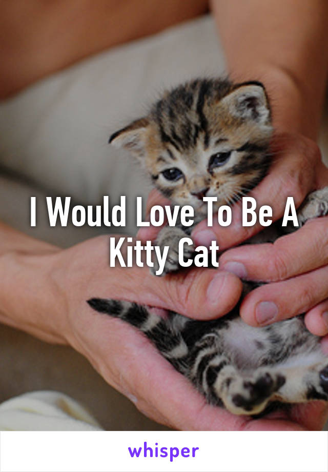 I Would Love To Be A Kitty Cat