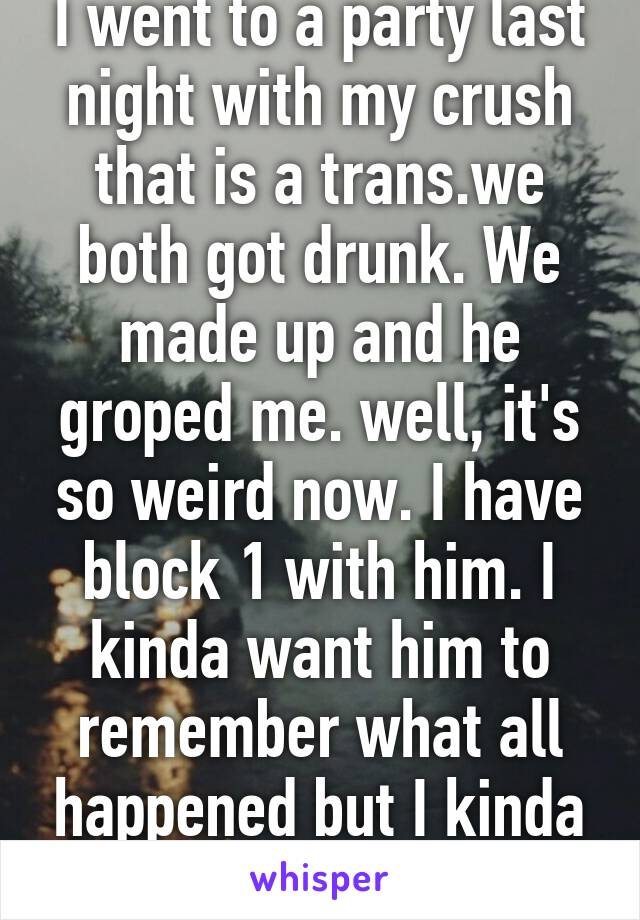 I went to a party last night with my crush that is a trans.we both got drunk. We made up and he groped me. well, it's so weird now. I have block 1 with him. I kinda want him to remember what all happened but I kinda don't 