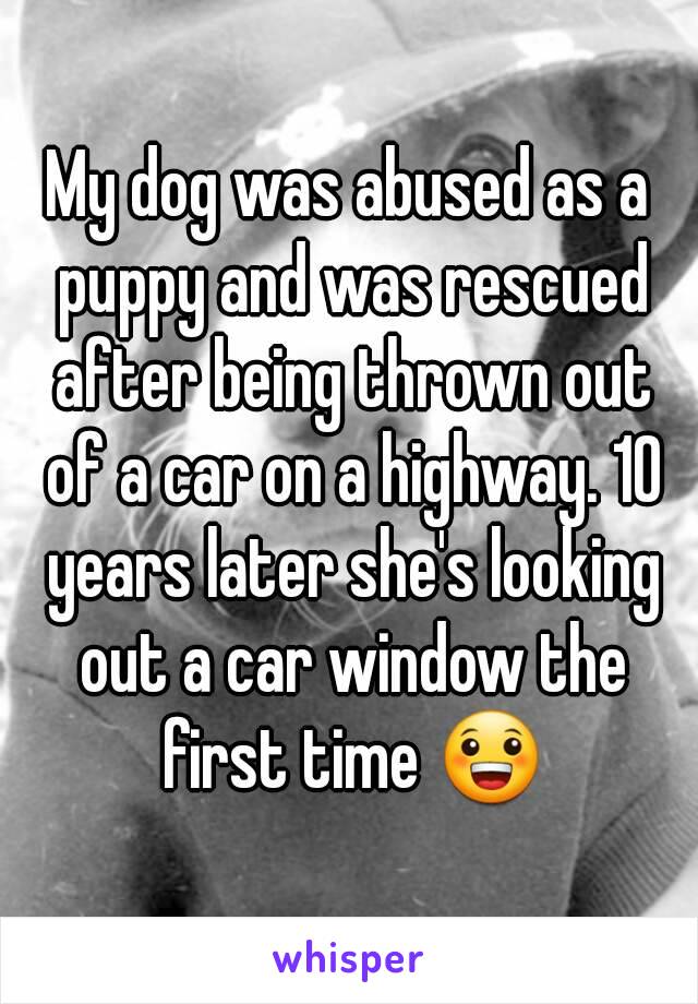 My dog was abused as a puppy and was rescued after being thrown out of a car on a highway. 10 years later she's looking out a car window the first time 😀