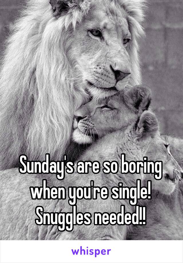 Sunday's are so boring when you're single! Snuggles needed!!