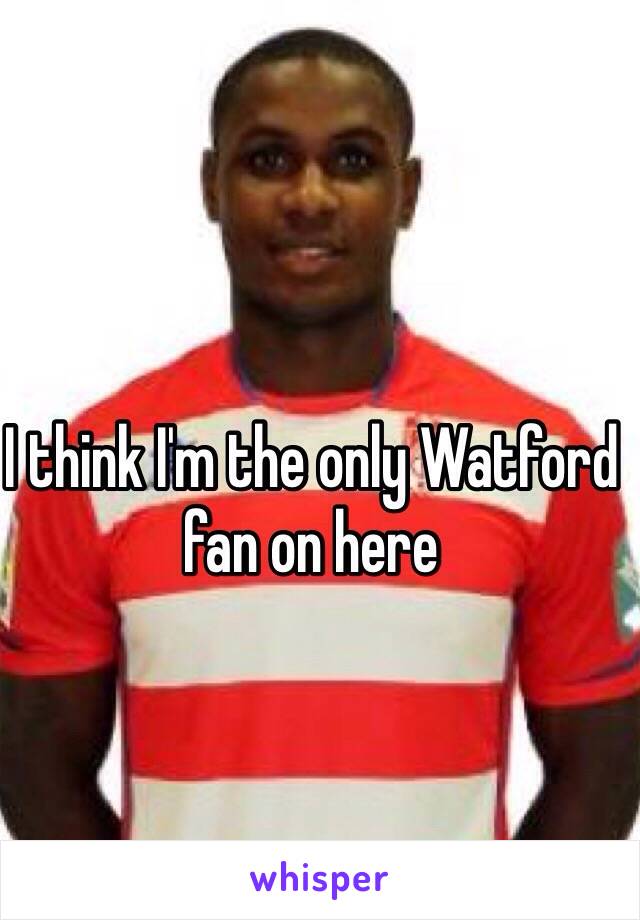 I think I'm the only Watford fan on here 