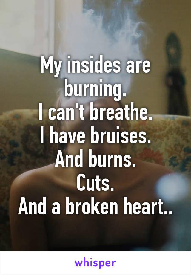 My insides are burning.
I can't breathe.
I have bruises.
And burns.
Cuts.
And a broken heart..