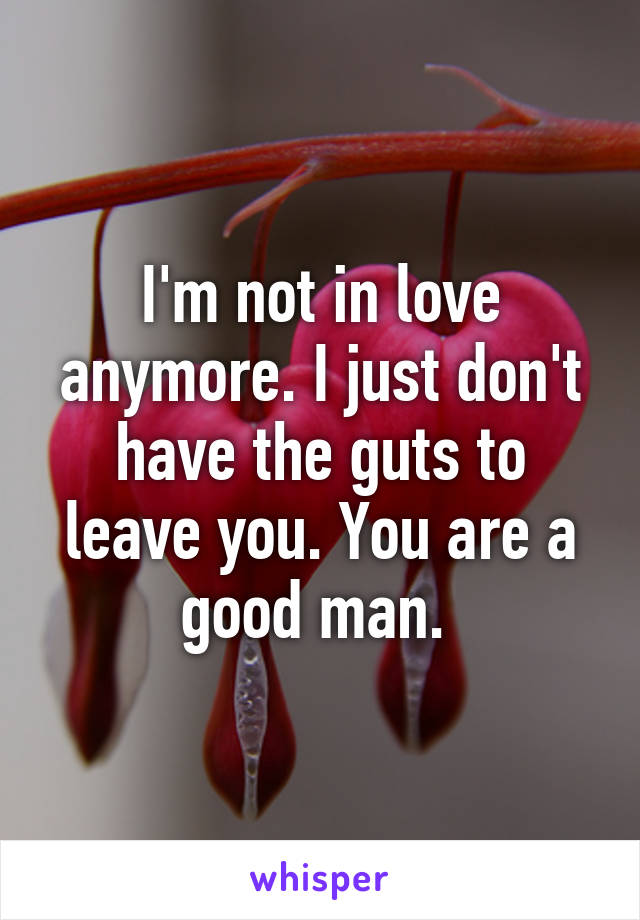 I'm not in love anymore. I just don't have the guts to leave you. You are a good man. 