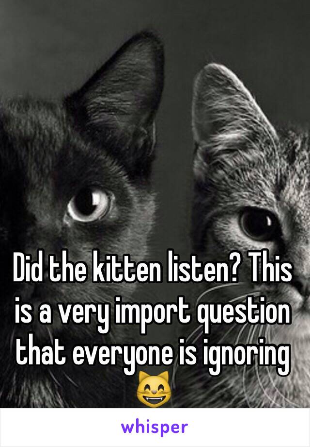 Did the kitten listen? This is a very import question that everyone is ignoring 😸