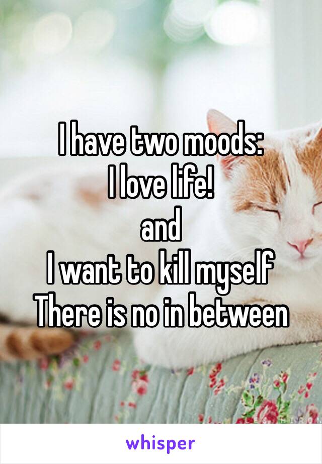 I have two moods:
I love life!
and 
I want to kill myself
There is no in between