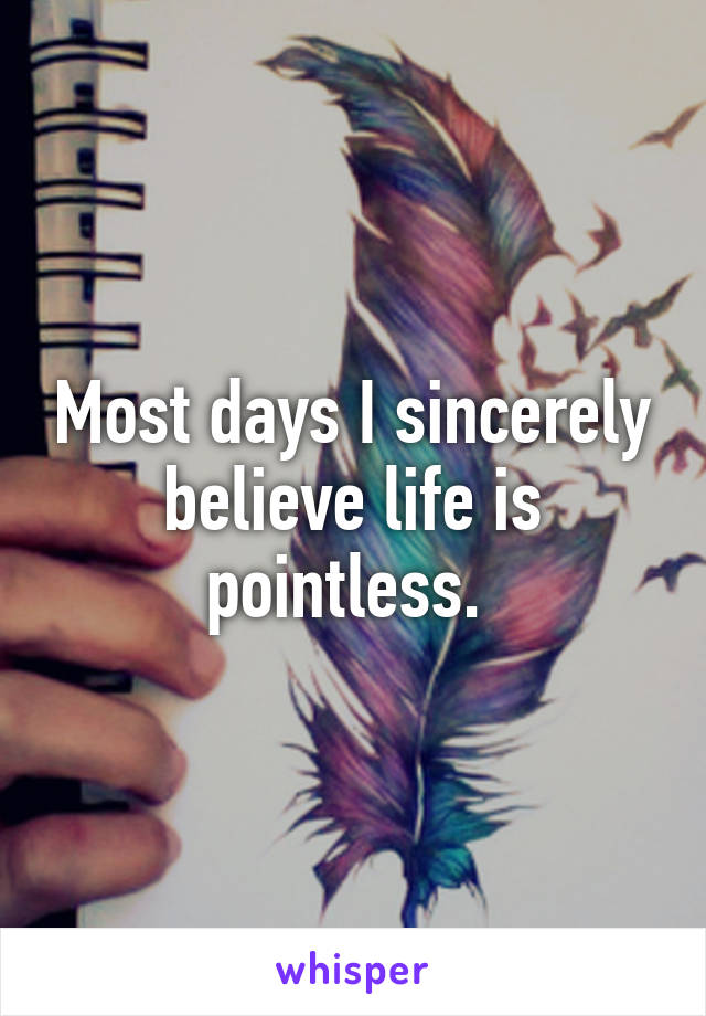 Most days I sincerely believe life is pointless. 