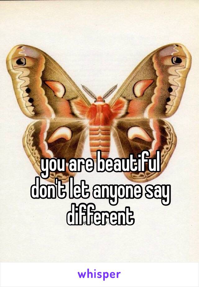 you are beautiful
don't let anyone say different