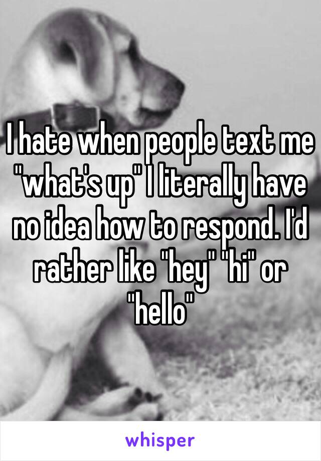 I hate when people text me "what's up" I literally have no idea how to respond. I'd rather like "hey" "hi" or "hello"