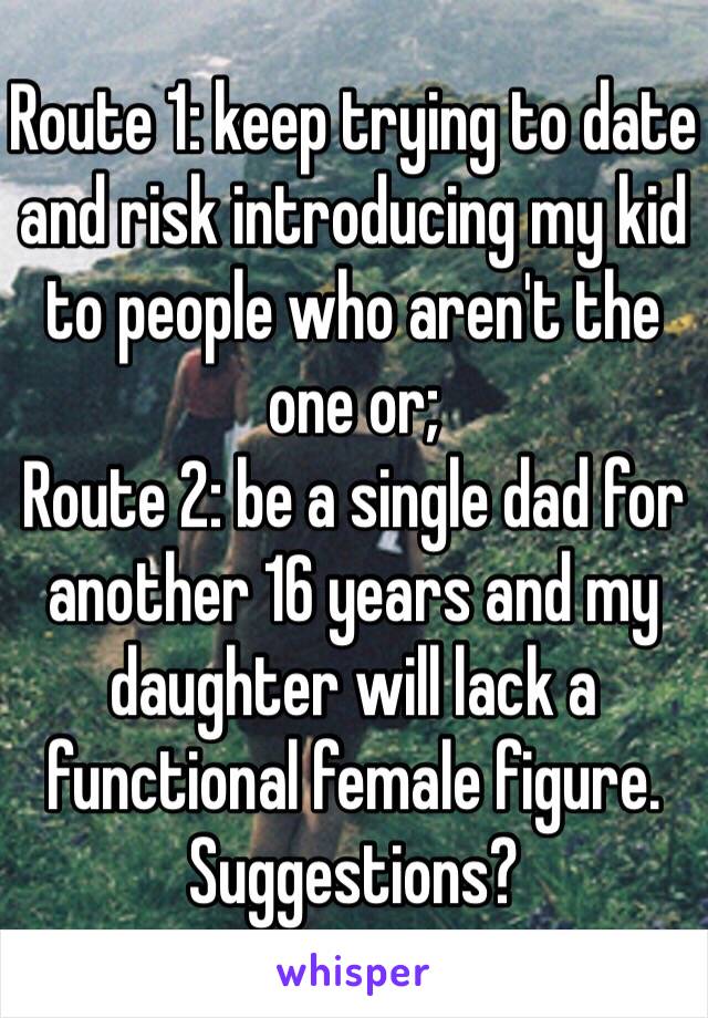 Route 1: keep trying to date and risk introducing my kid to people who aren't the one or;
Route 2: be a single dad for another 16 years and my daughter will lack a functional female figure.
Suggestions?