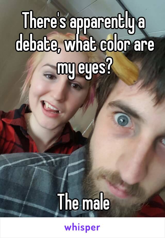 There's apparently a debate, what color are my eyes?





The male