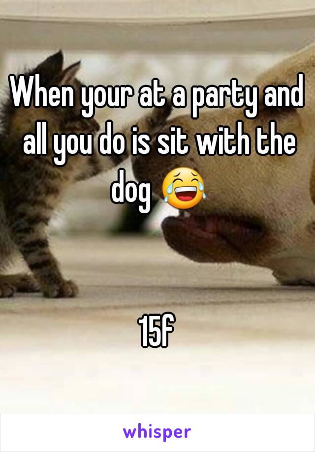 When your at a party and all you do is sit with the dog 😂 

15f