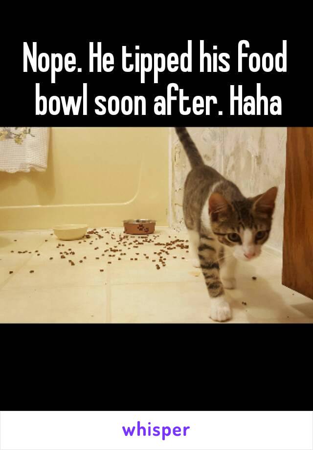 Nope. He tipped his food bowl soon after. Haha