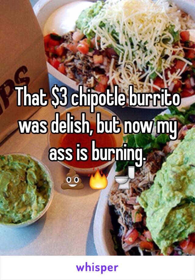 That $3 chipotle burrito was delish, but now my ass is burning. 
💩🔥🚽