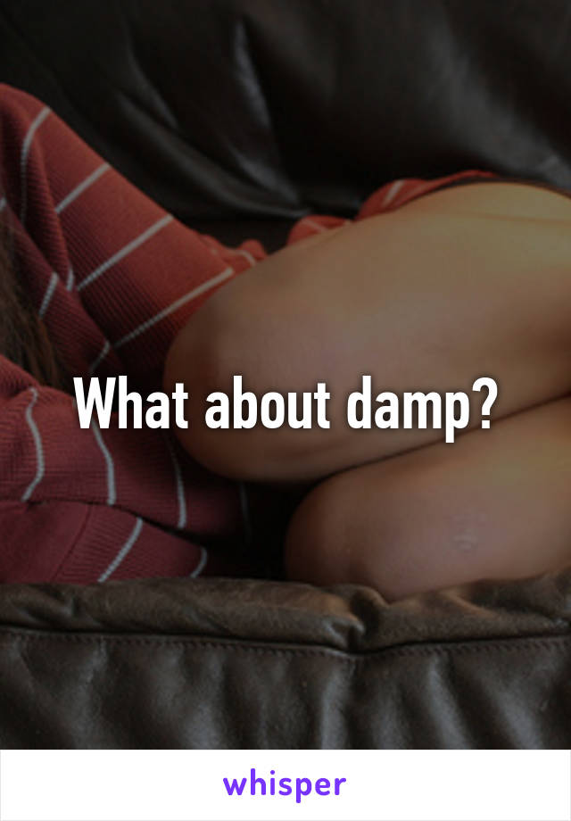 What about damp?