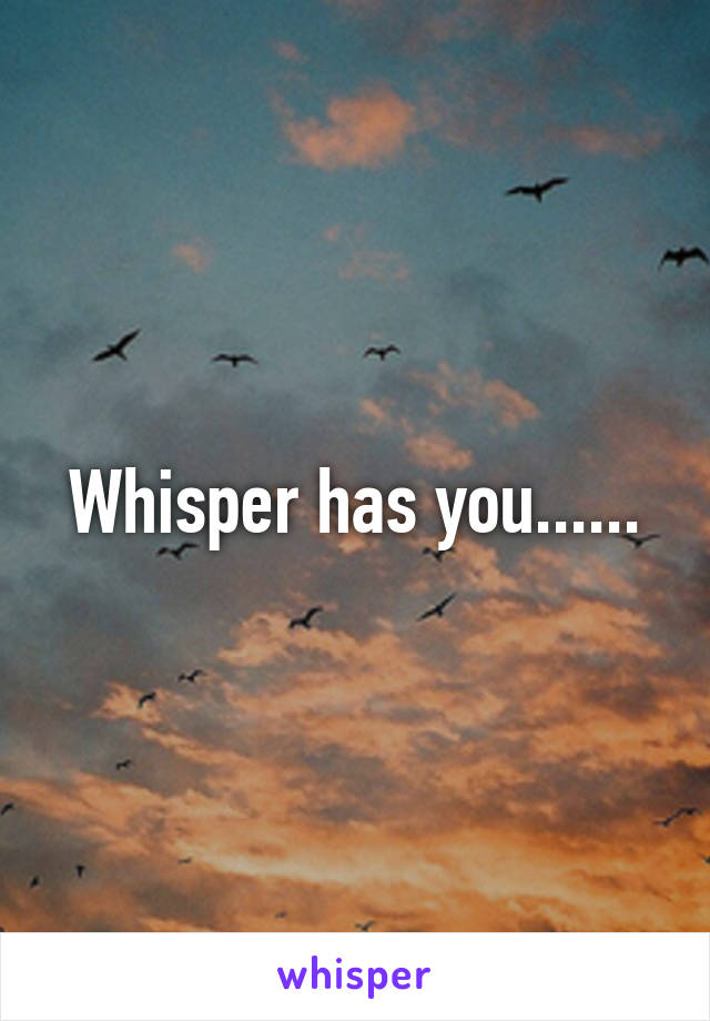 Whisper has you......