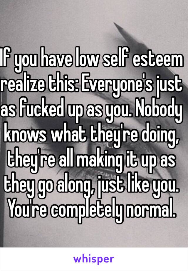 If you have low self esteem realize this: Everyone's just as fucked up as you. Nobody knows what they're doing, they're all making it up as they go along, just like you. You're completely normal.