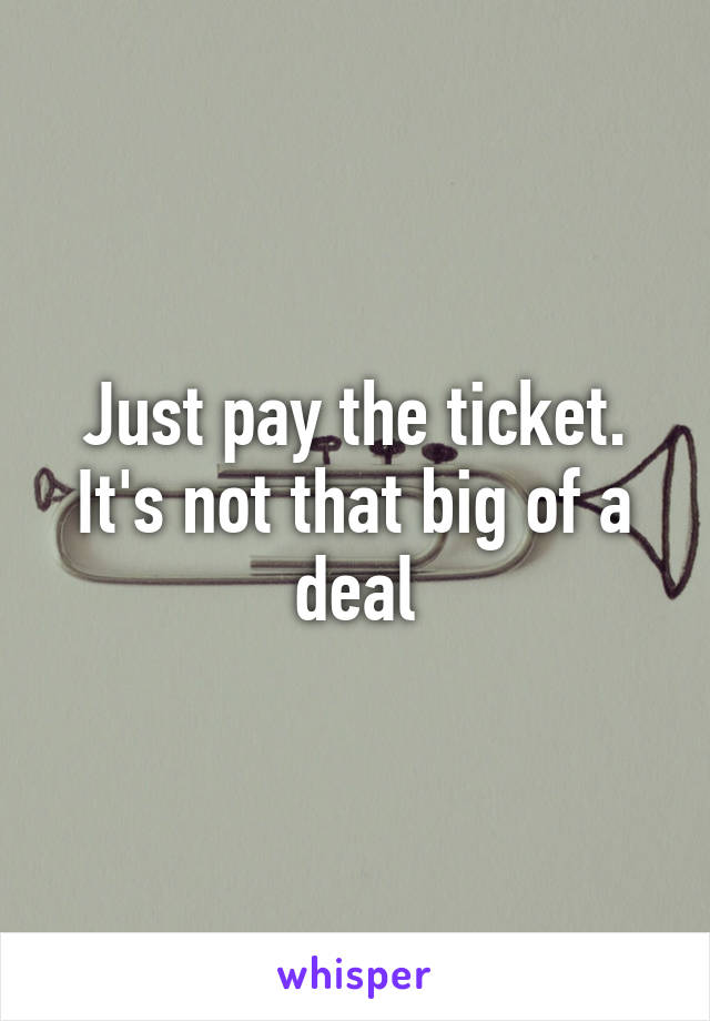 Just pay the ticket. It's not that big of a deal