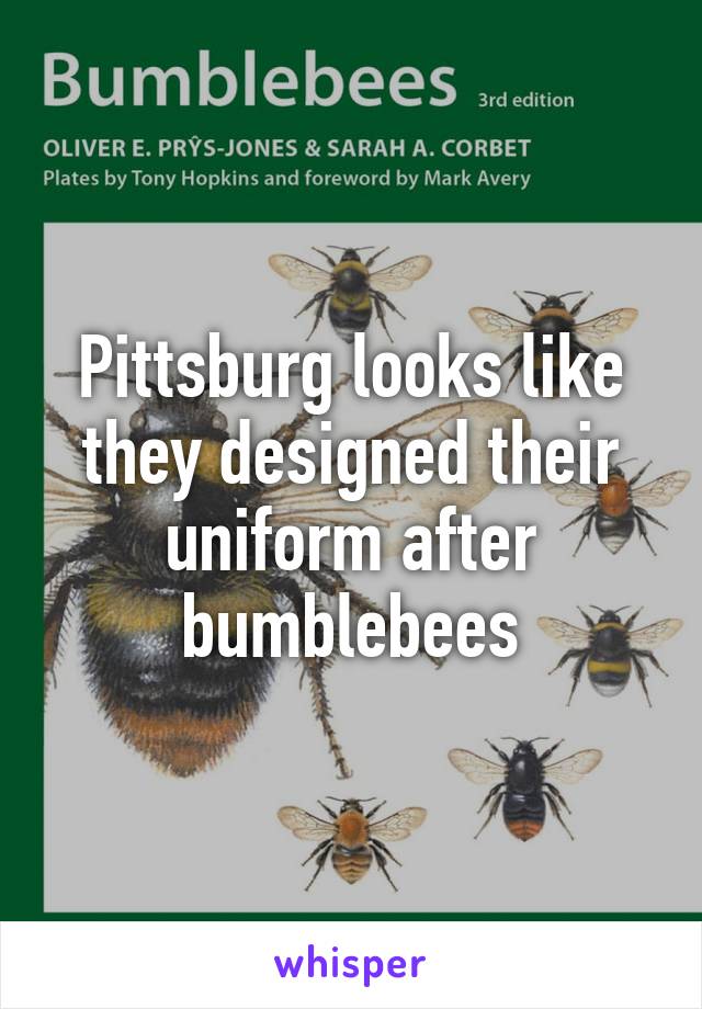 Pittsburg looks like they designed their uniform after bumblebees