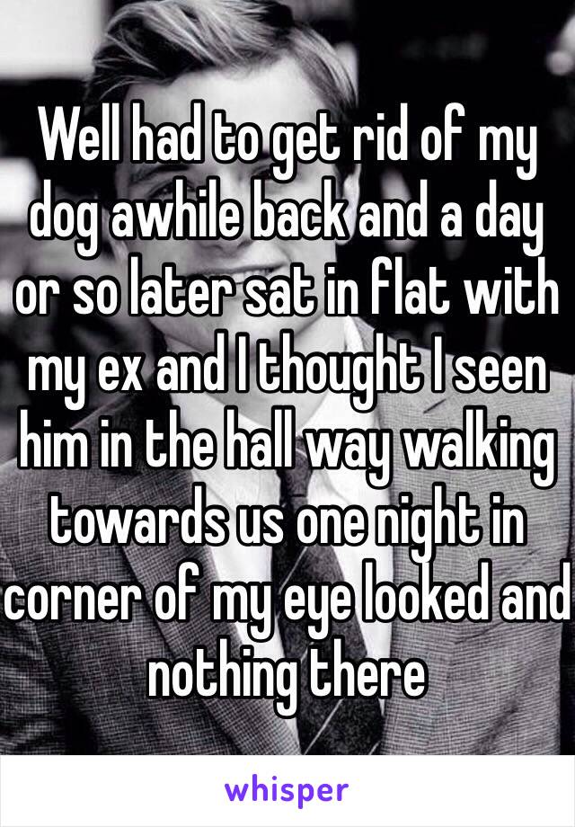 Well had to get rid of my dog awhile back and a day or so later sat in flat with my ex and I thought I seen him in the hall way walking towards us one night in corner of my eye looked and nothing there 