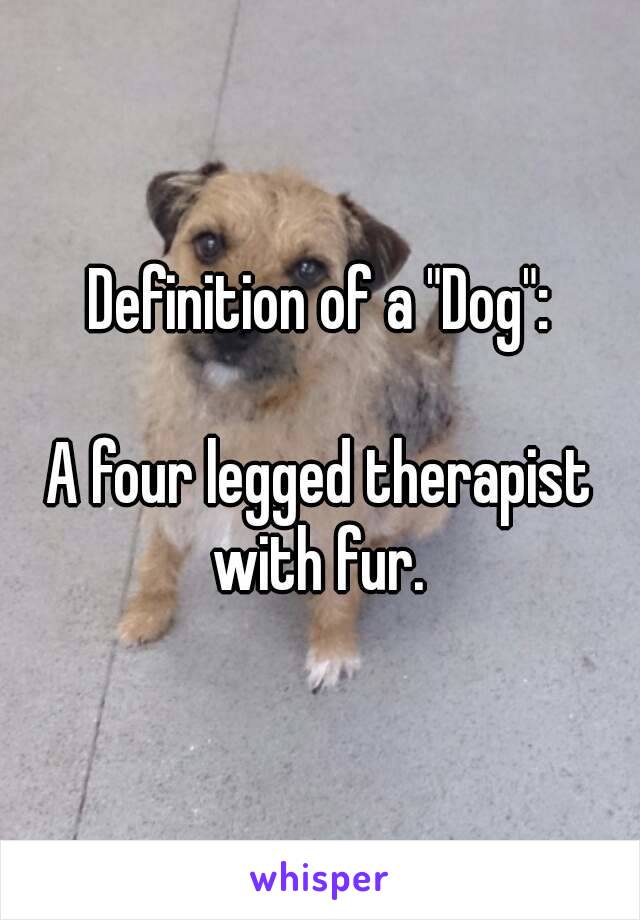 Definition of a "Dog":

A four legged therapist
with fur.
