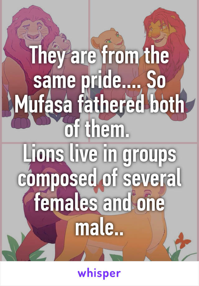They are from the same pride.... So Mufasa fathered both of them. 
Lions live in groups composed of several females and one male..