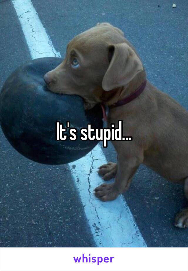 It's stupid...