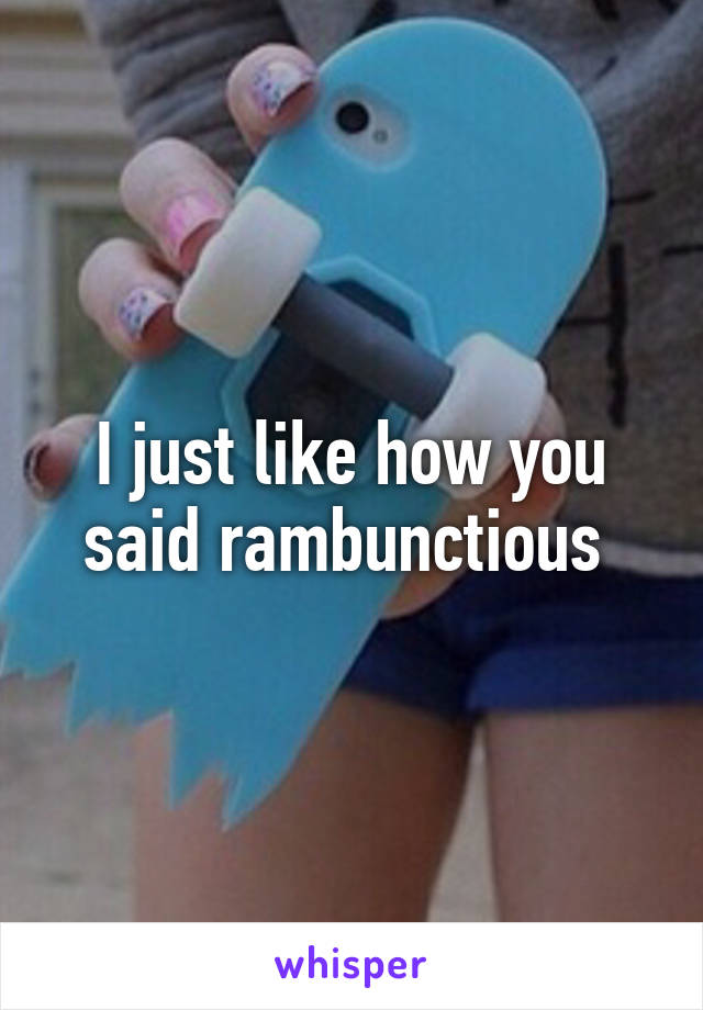 I just like how you said rambunctious 