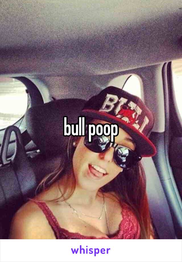 bull poop