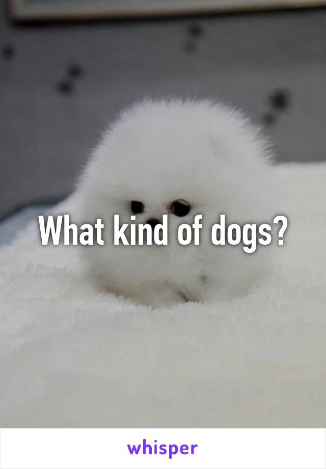 What kind of dogs?