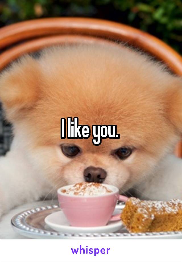 I like you. 