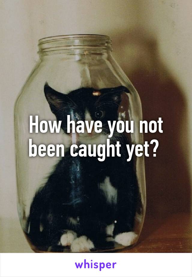 How have you not been caught yet? 
