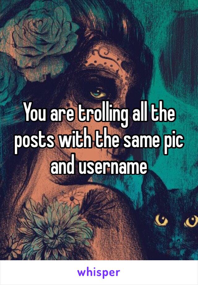 You are trolling all the posts with the same pic and username