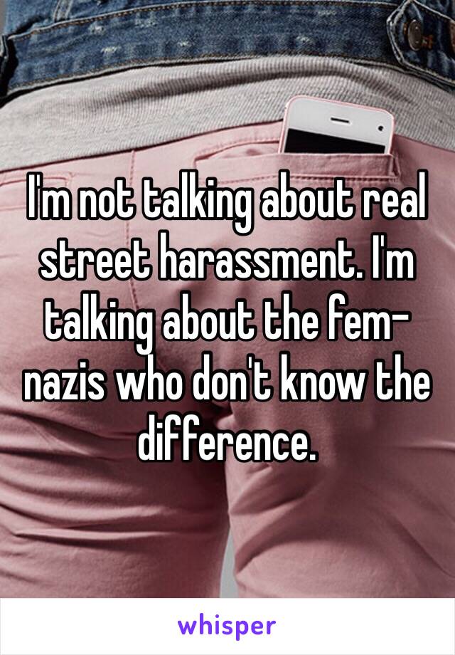 I'm not talking about real street harassment. I'm talking about the fem-nazis who don't know the difference. 