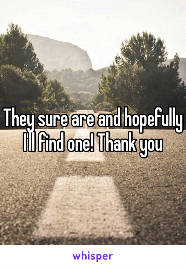 They sure are and hopefully I'll find one! Thank you