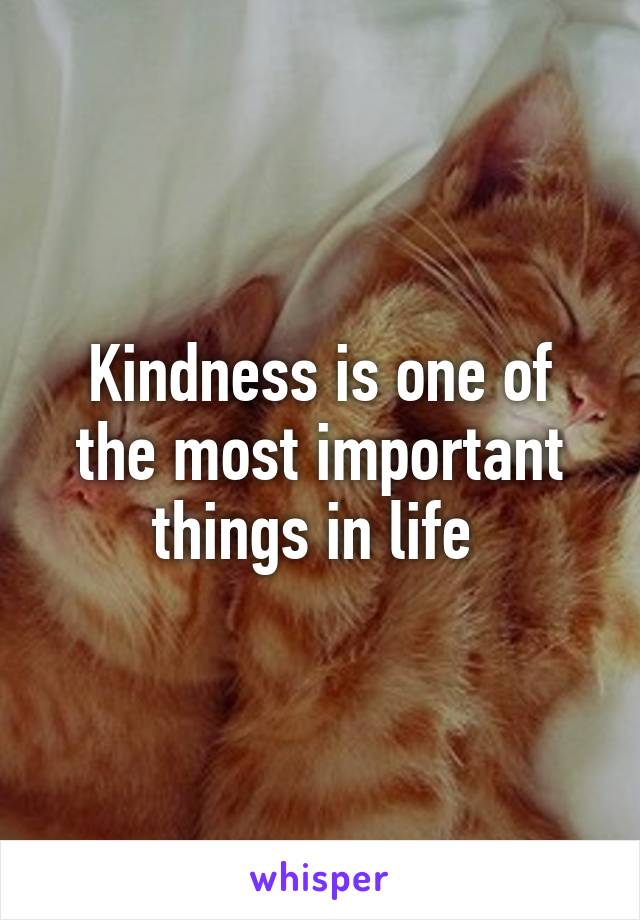 Kindness is one of the most important things in life 