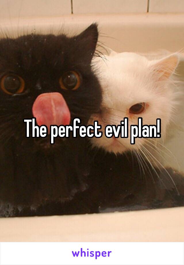 The perfect evil plan!