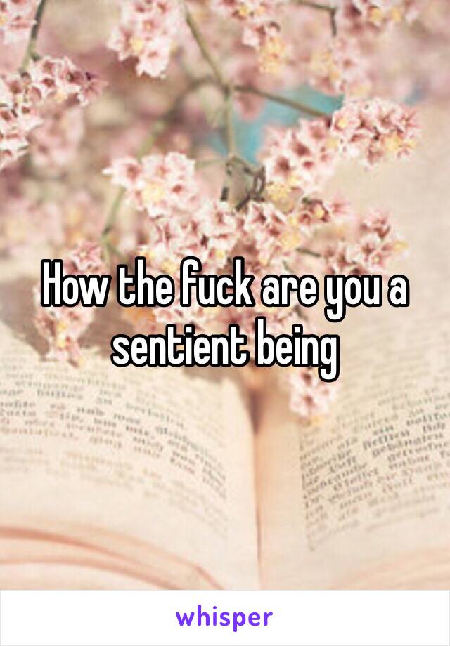 How the fuck are you a sentient being 