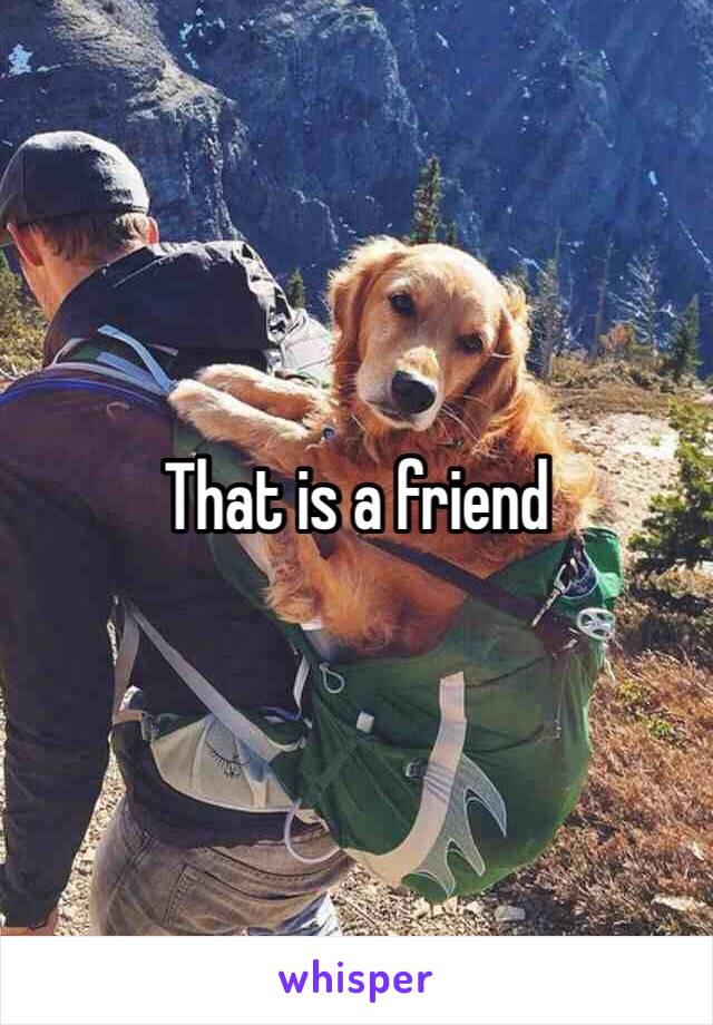 That is a friend