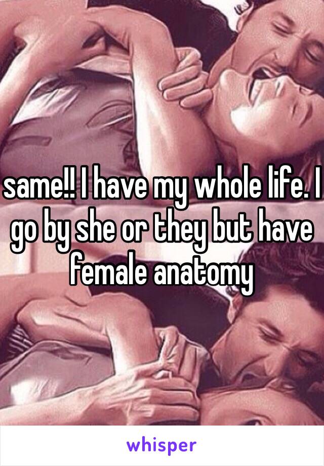 same!! I have my whole life. I go by she or they but have female anatomy