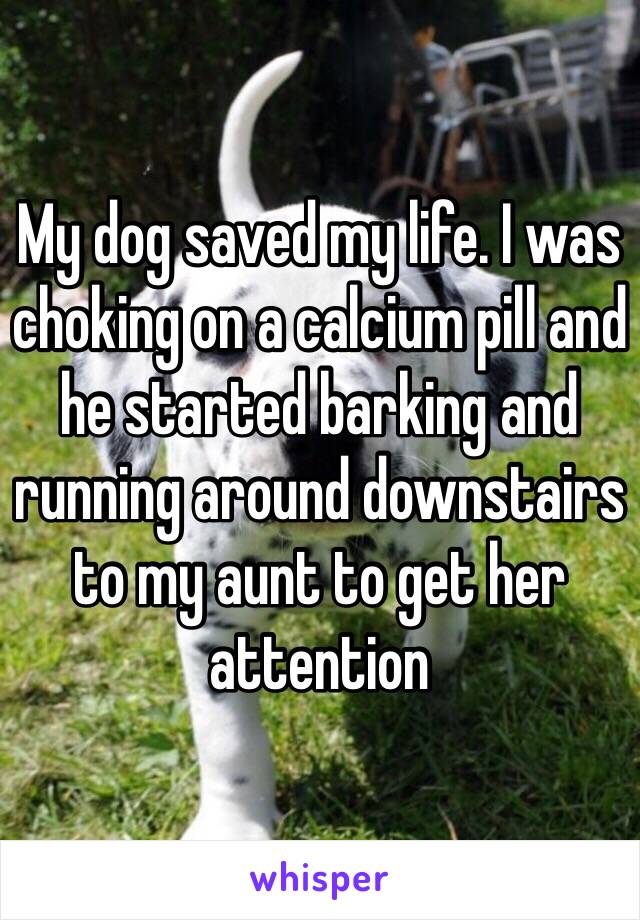 My dog saved my life. I was choking on a calcium pill and he started barking and running around downstairs to my aunt to get her attention