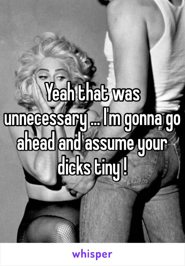 Yeah that was unnecessary ... I'm gonna go ahead and assume your dicks tiny !