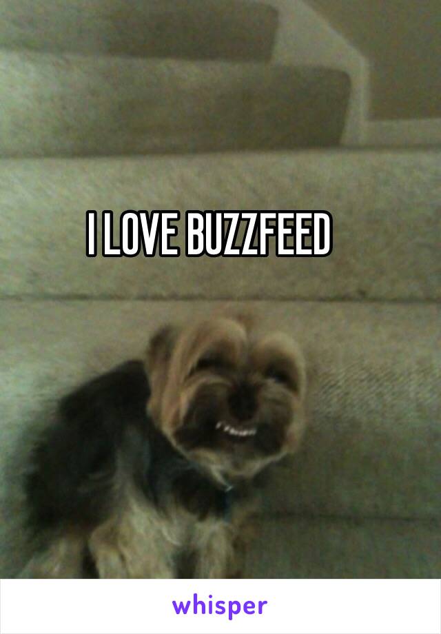 I LOVE BUZZFEED