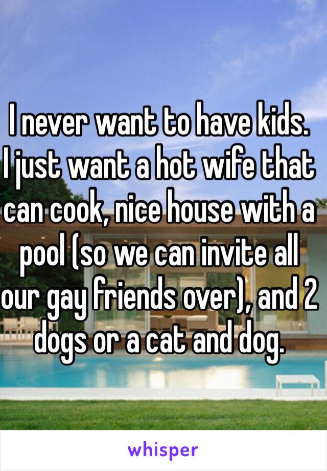 I never want to have kids. 
I just want a hot wife that can cook, nice house with a pool (so we can invite all our gay friends over), and 2 dogs or a cat and dog. 