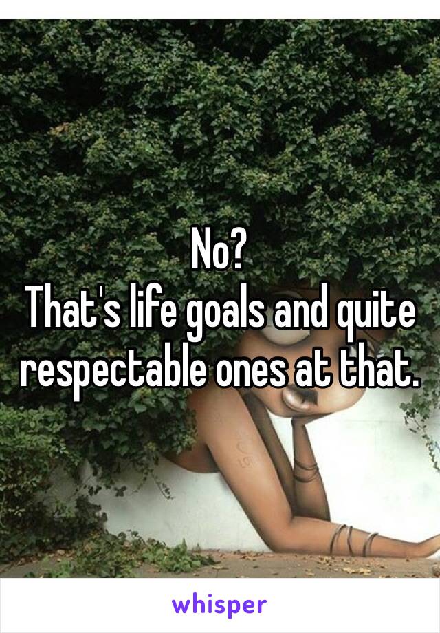 No? 
That's life goals and quite respectable ones at that. 