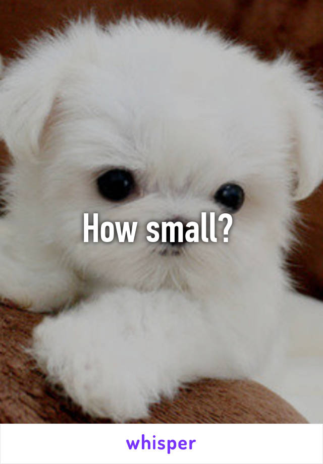 How small? 