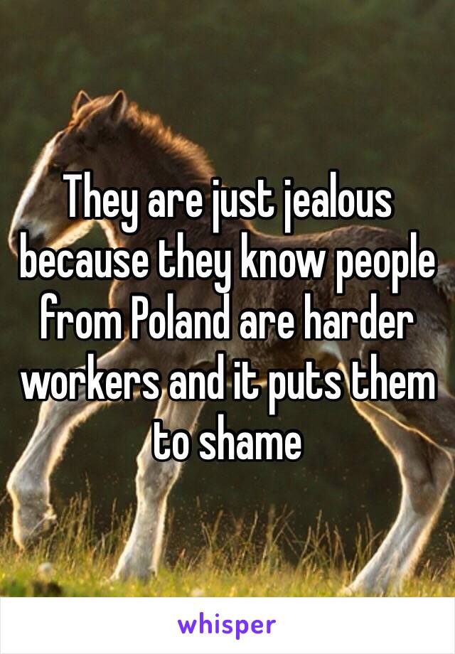 They are just jealous because they know people from Poland are harder workers and it puts them to shame