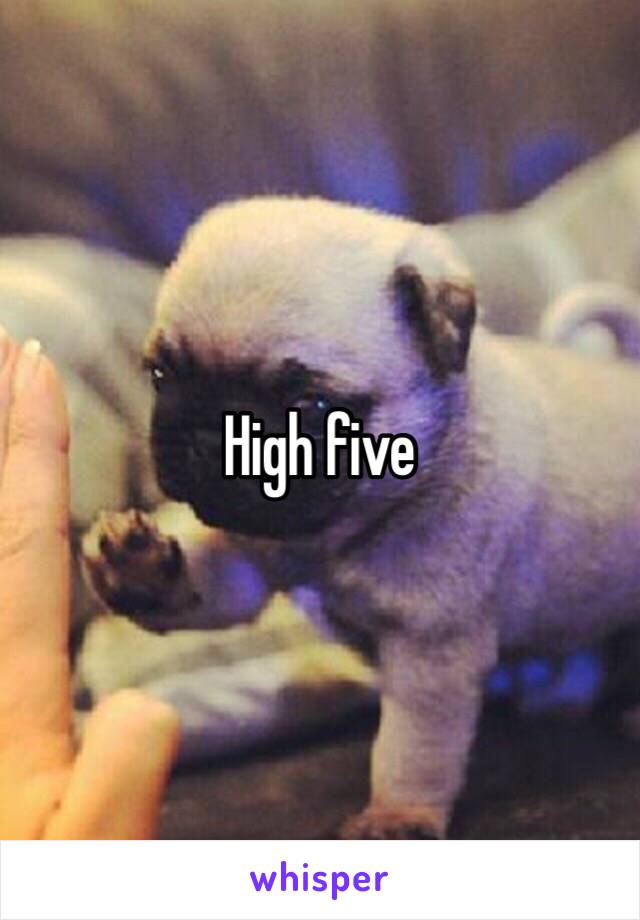 High five 